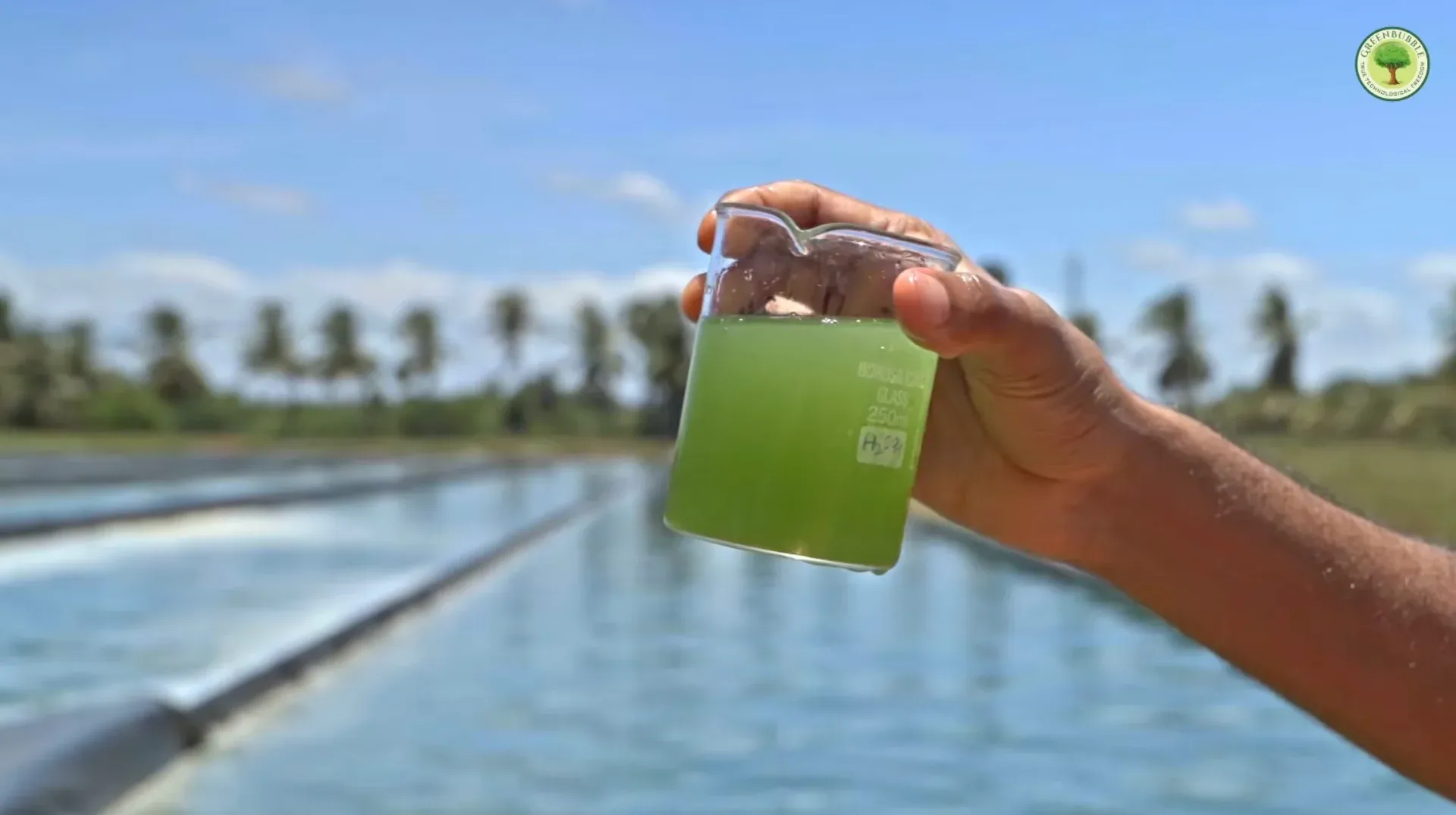 Promotional Film for GreenBubble Algae Solutions