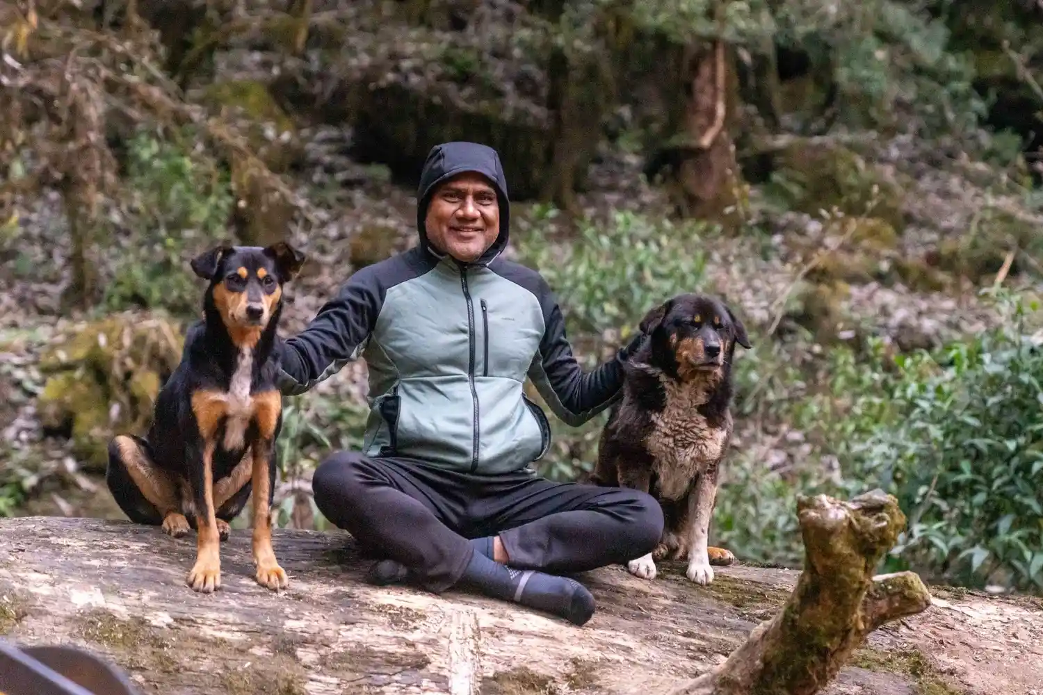 The Goechala Trek in Sikkim, India