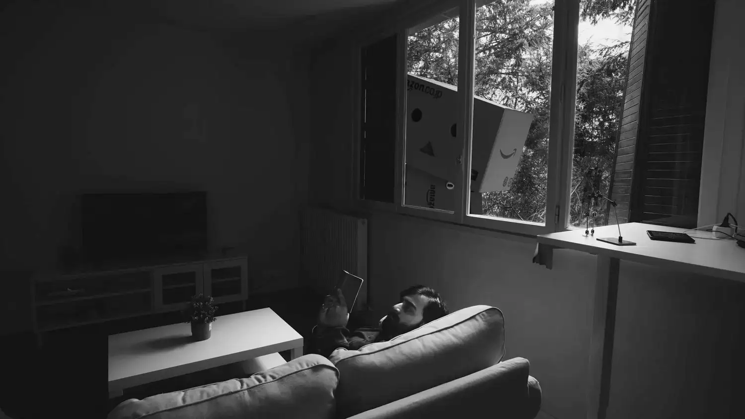 danbo window