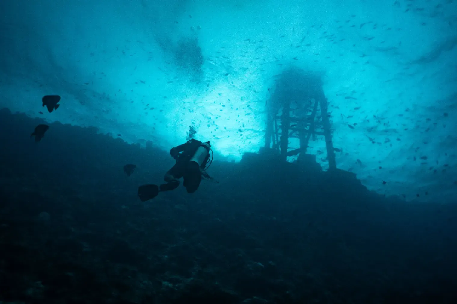 Into the Blue