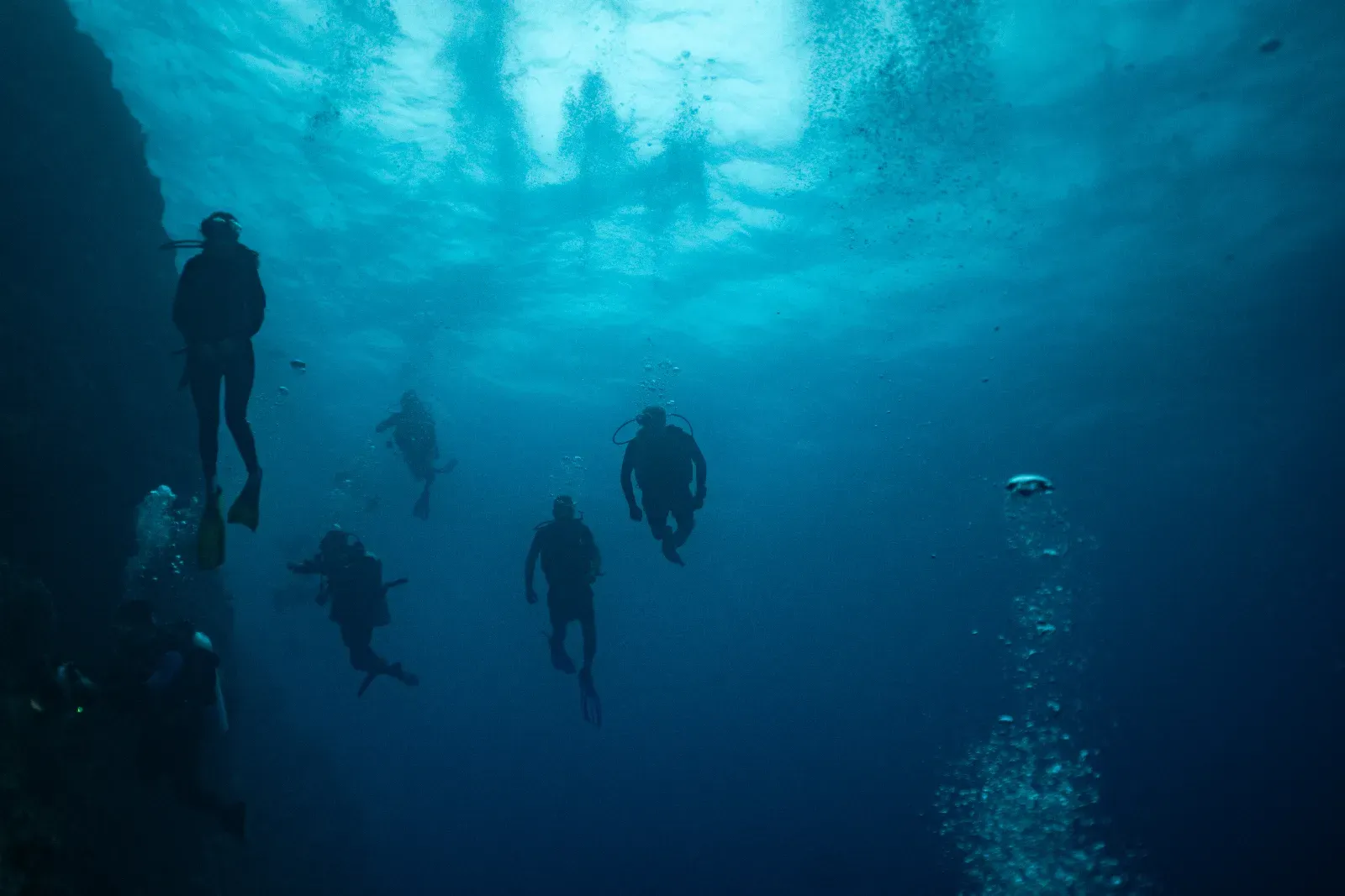 Into the Blue
